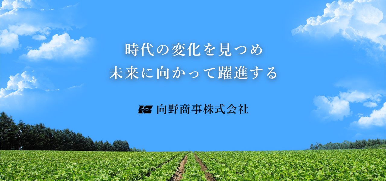 何処でも商事 2023年製 新車外し品】トヨタ ランドクルーザー300 ZX 純正 20in
